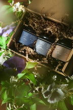Whipped Tallow Balm Mini Trio